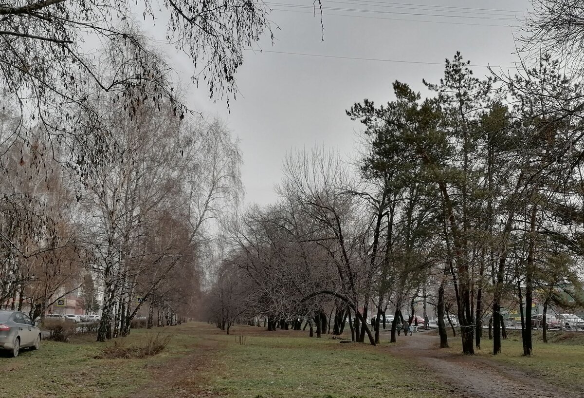 Вот такой сейчас пейзаж