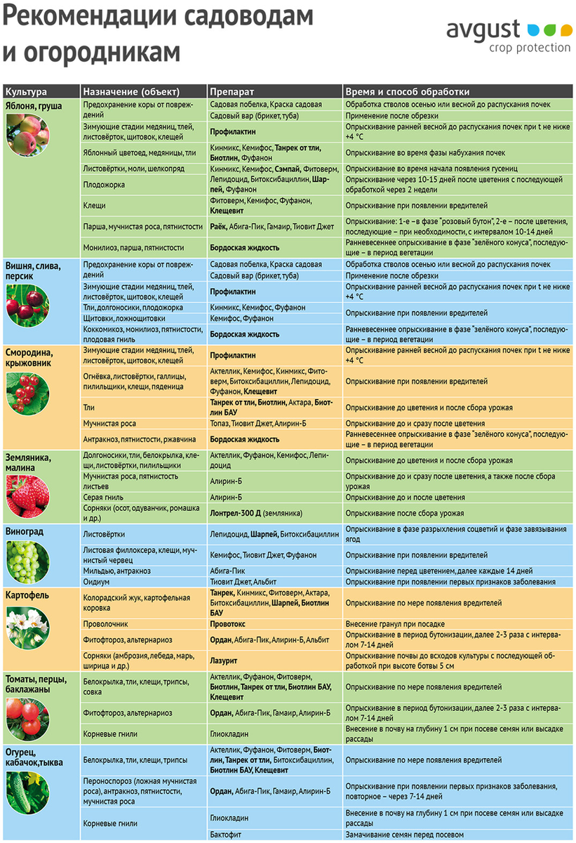 Фото из открытых источников