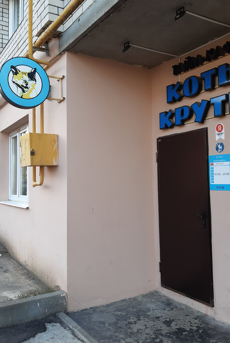 Первое котокафе "Коты круты" в г. Чебоксары.