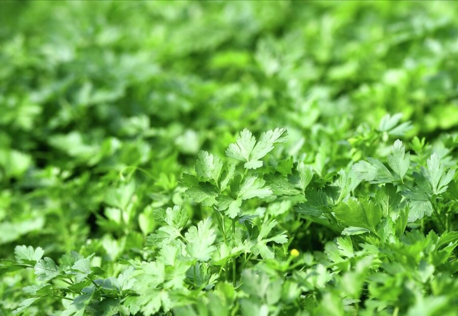    © РИА Новости