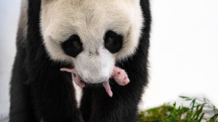  Фото: Telegram / Светлана Акулова