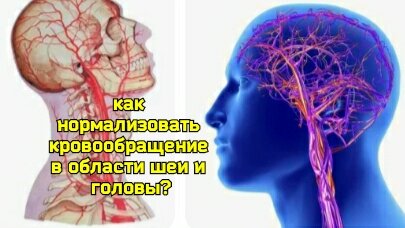 Descargar video: 4 упражнения для мышц шеи и сосудов мозга