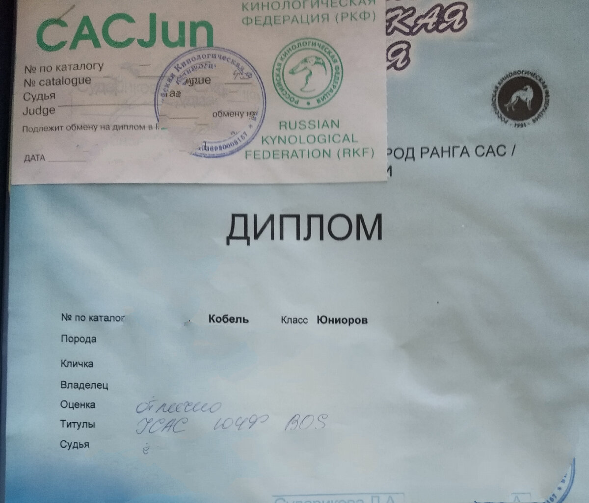 Первый диплом. 1/4 до ЮЧР