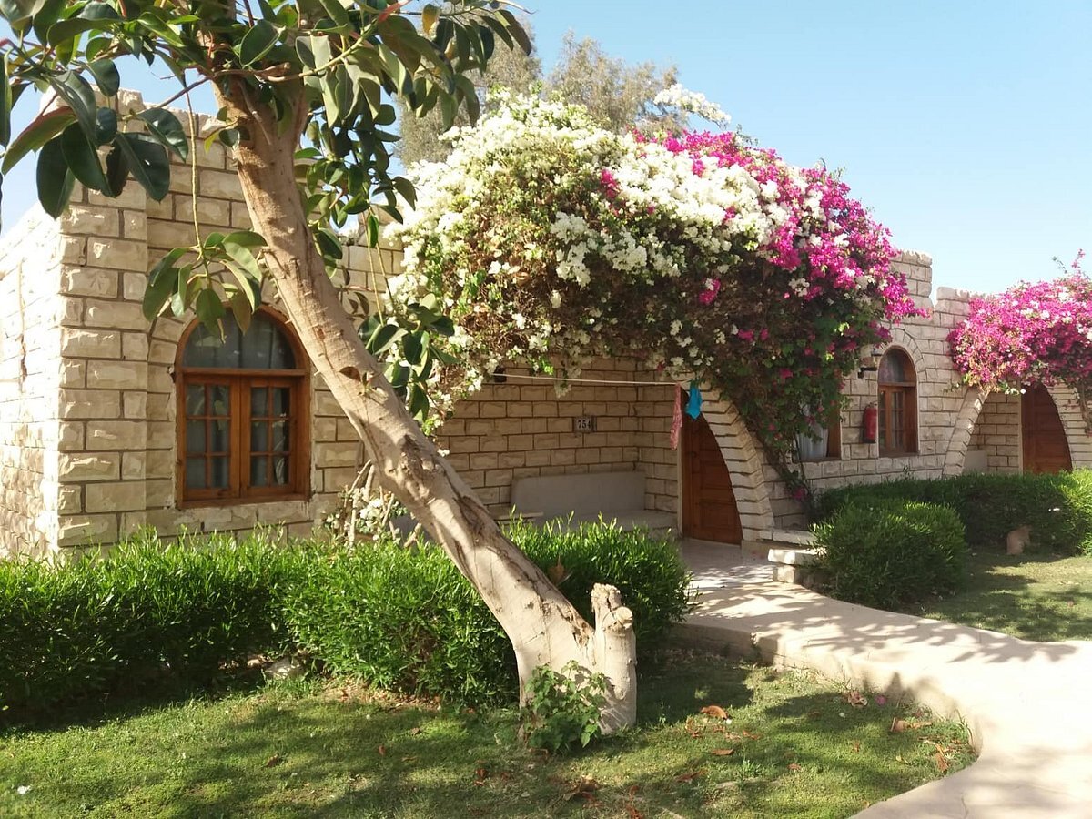 Добро пожаловать в Aladdin Beach Resort в Хургаде