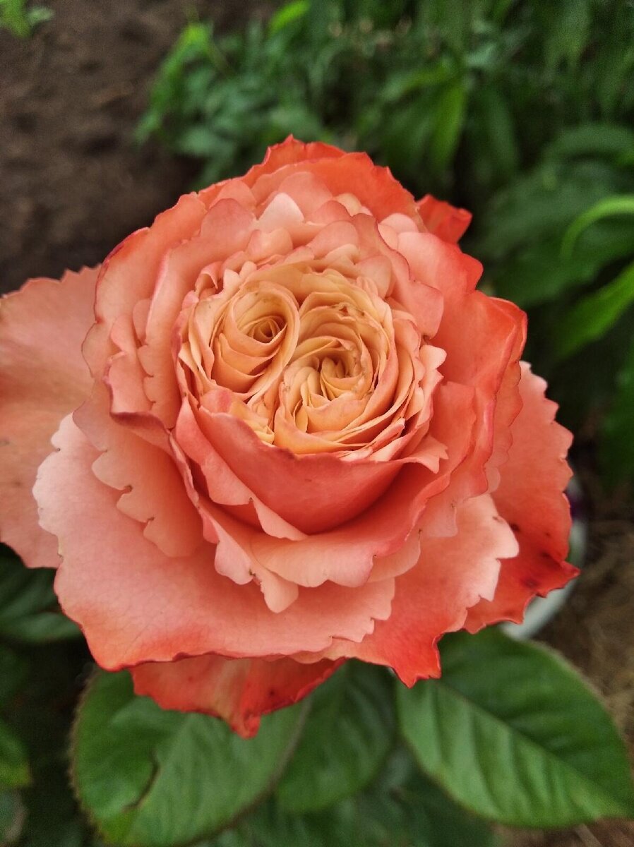 фото Натальи