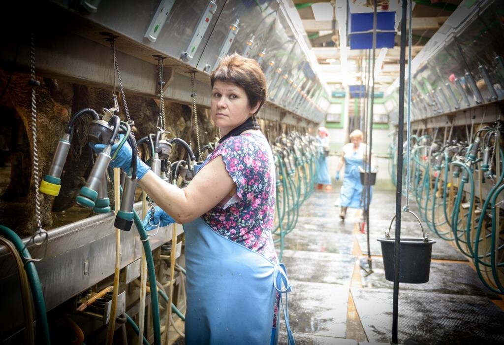 изображение взято из открытых источников