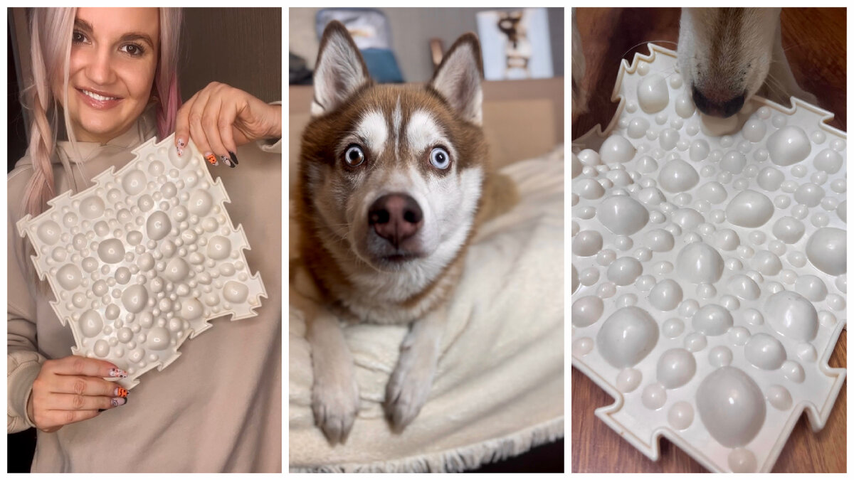 Алтай в восторге!