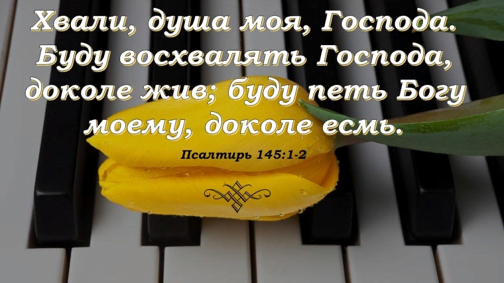 Песня о мой бог дай мобилу. Хвалите Бога. Славь душа моя Господа. Хвали душа моя Господа буду восхвалять Господа доколе. Стихи из Библии прославляющие Бога.