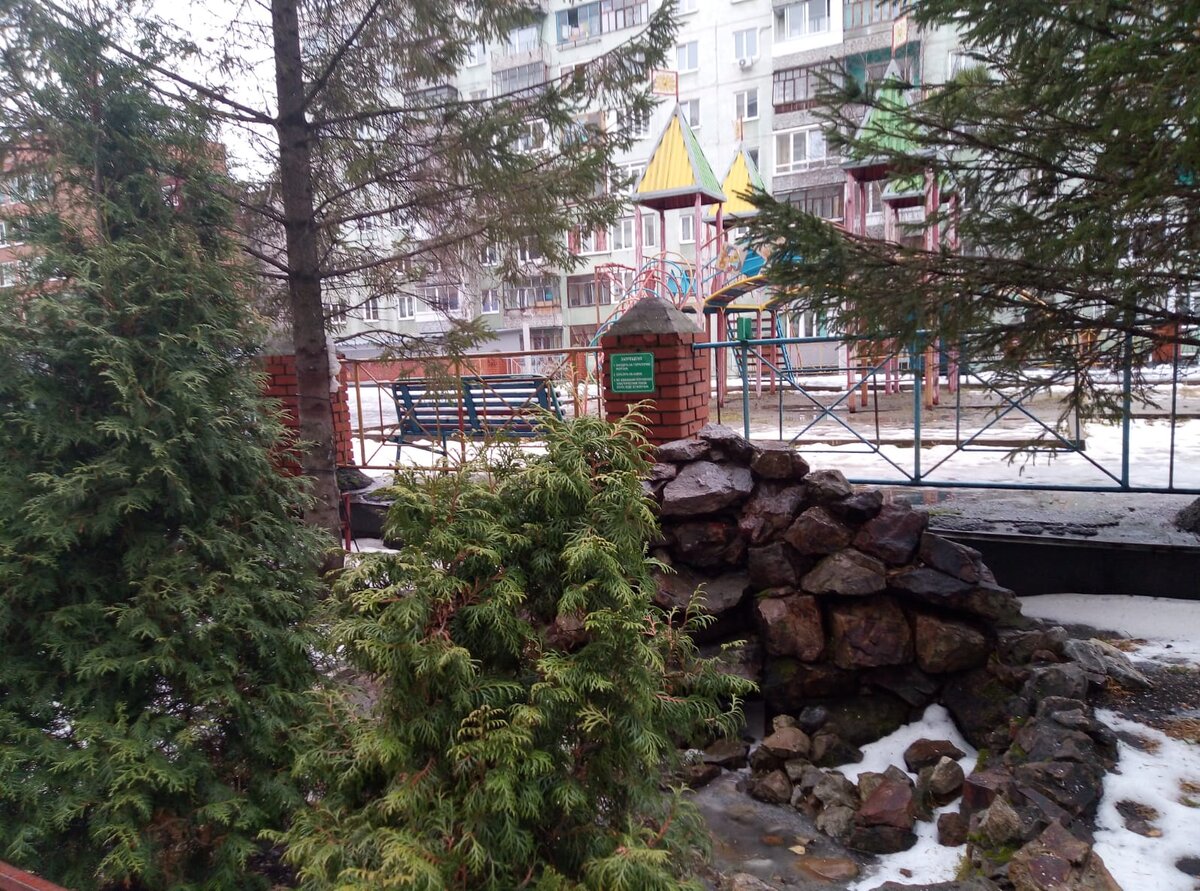 фото автора 