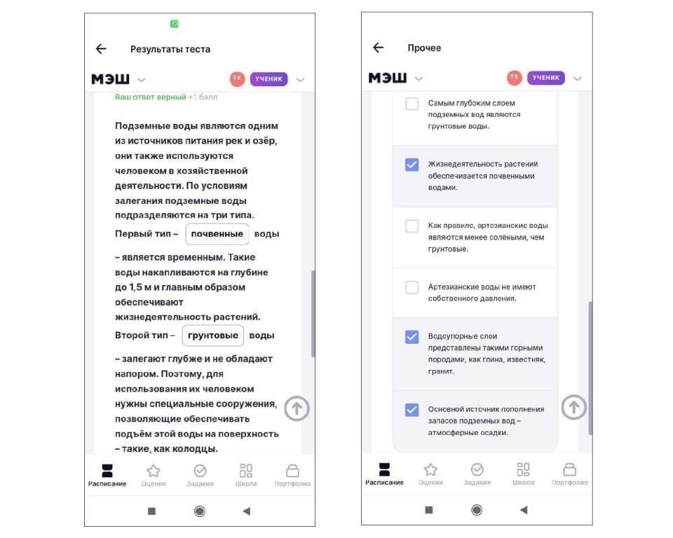 В скриншоте ответы, которые система считает верными, хотя это не так.