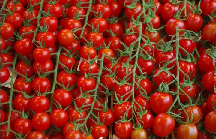 Скриншот Яндекс картинки