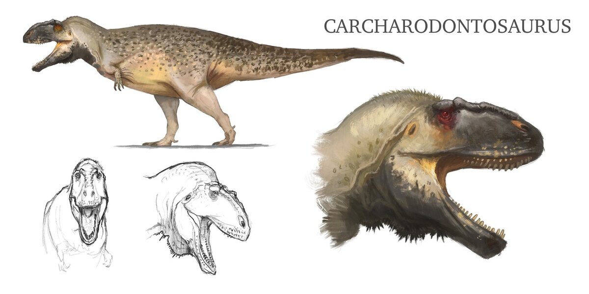 Старый, с бородой.