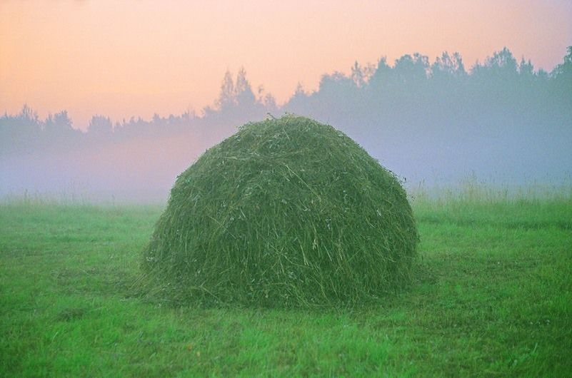 Скошенная трава. Стог травы. Копна травы. Скошенная трава в стогу.