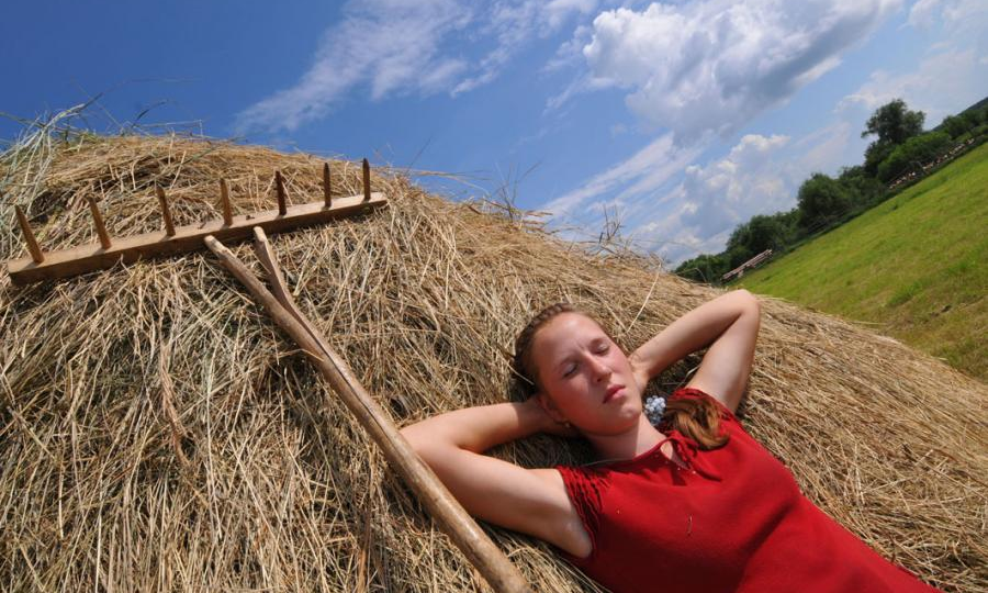 Трава зовет на помощь. Почему запах скошенной травы отнюдь не романтичный, а зловещий