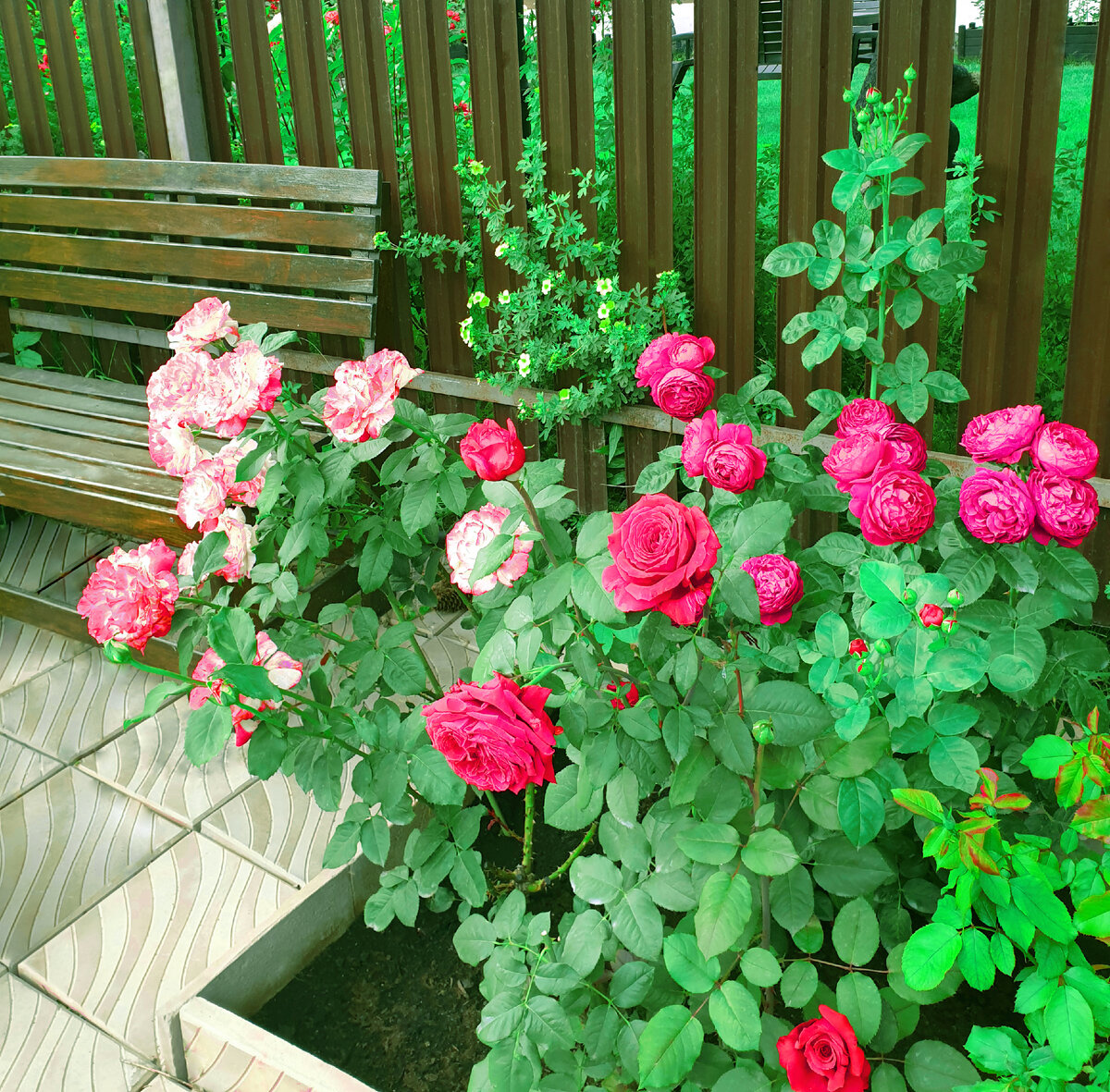 Моя любимая деревянная скамейка. Простенькая. Но очень удобная.