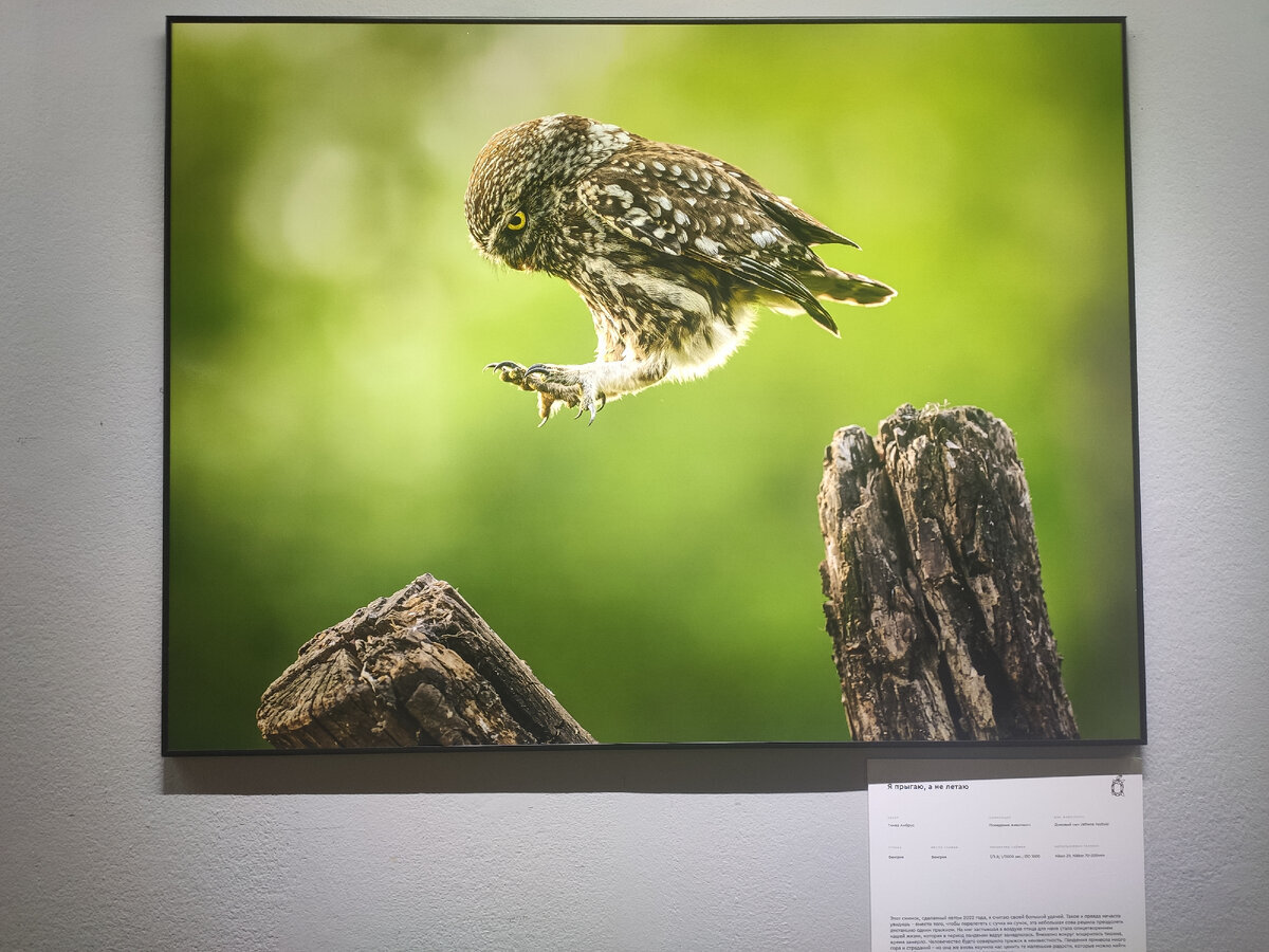 Добавьте описание