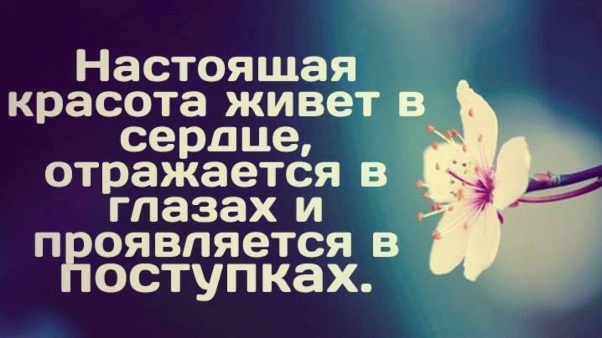 Красота души человека предложения. Красота внутри цитаты. Красота внешняя и внутренняя цитаты. Настоящая красота живёт в сердце отражается. Настоящая красота живёт в сердце отражается в глазах.