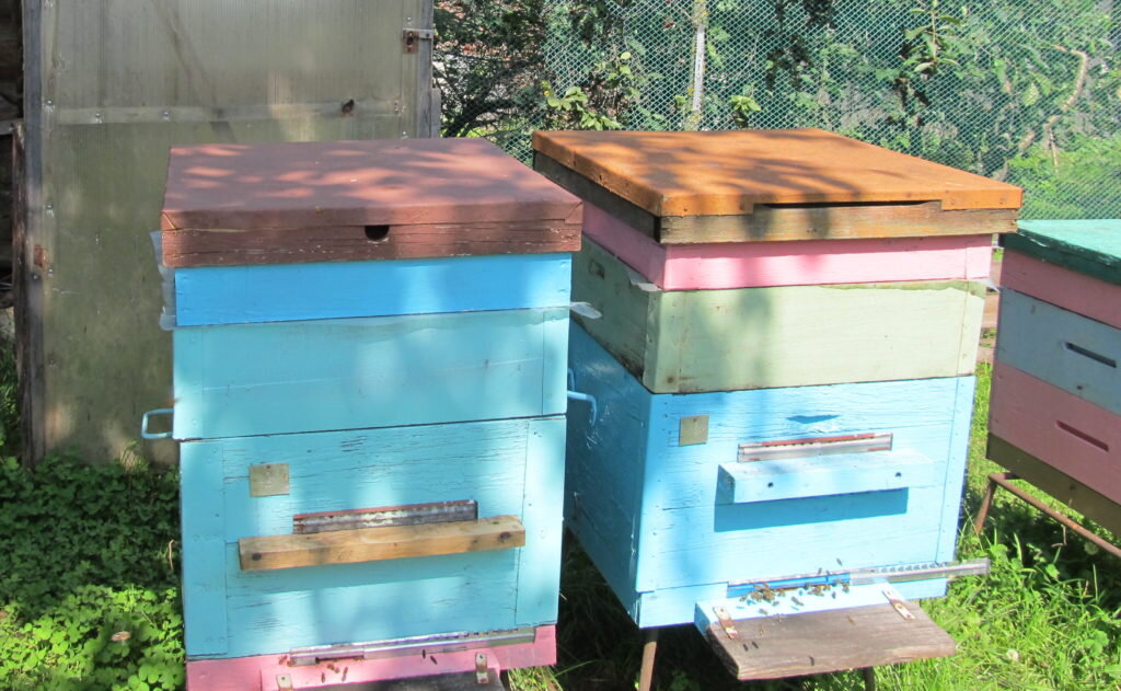 Разделение семьи на пол-лёта.