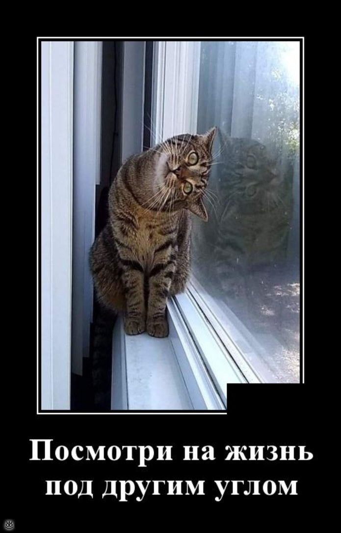 источник Яндекс-картинки