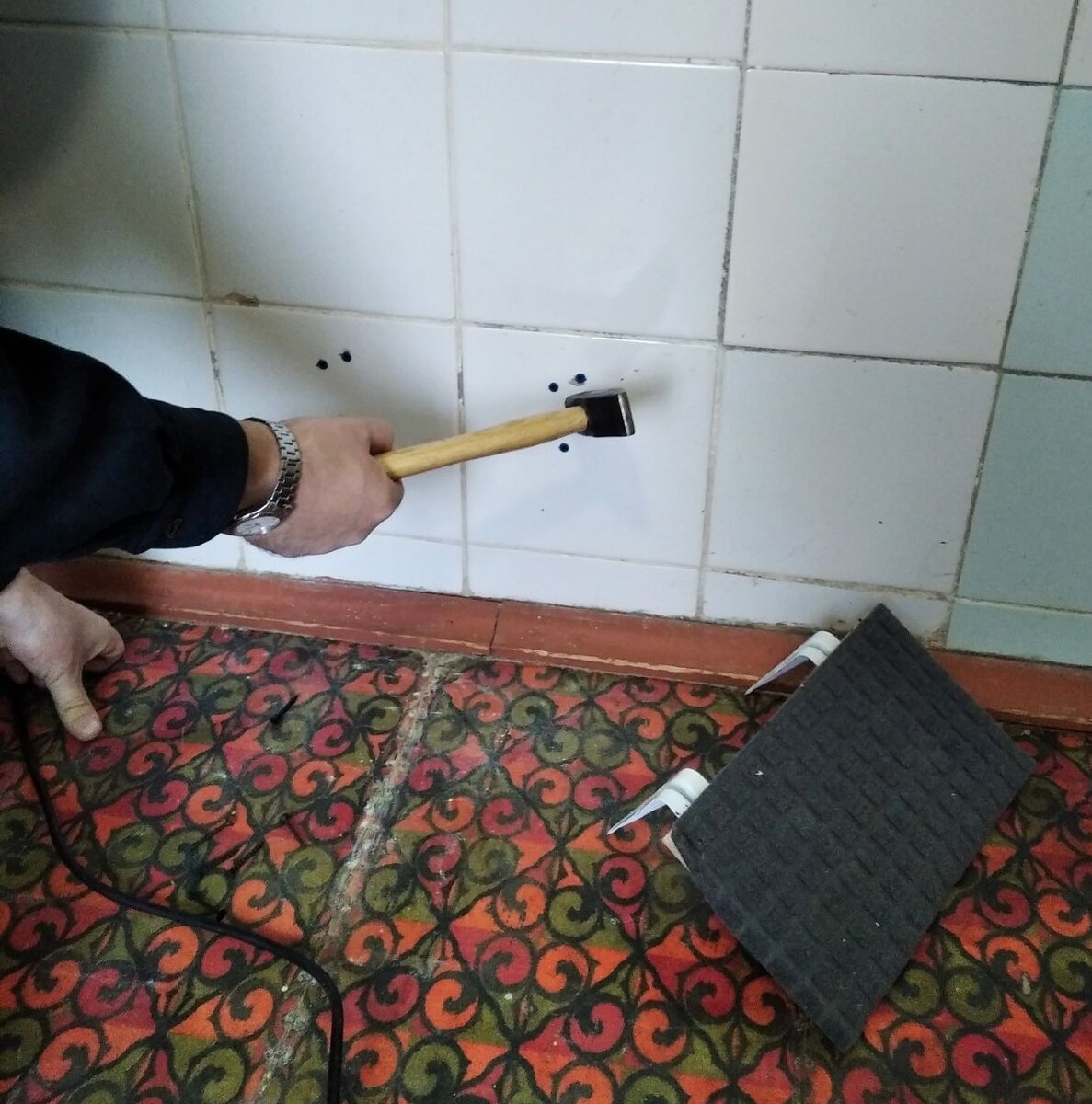 Процесс объегоривания котов