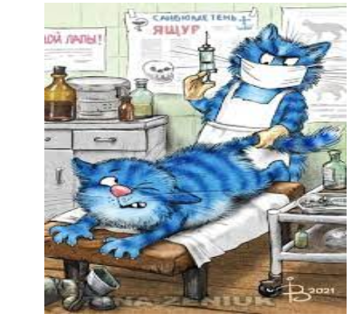 очаровательные коты Рины Зенюк