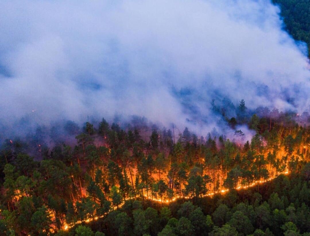 Forest fire mk ii. Лесные пожары в Сибири 2019. Россия Сибирь 2019 пожар. Огонь вид сверху.