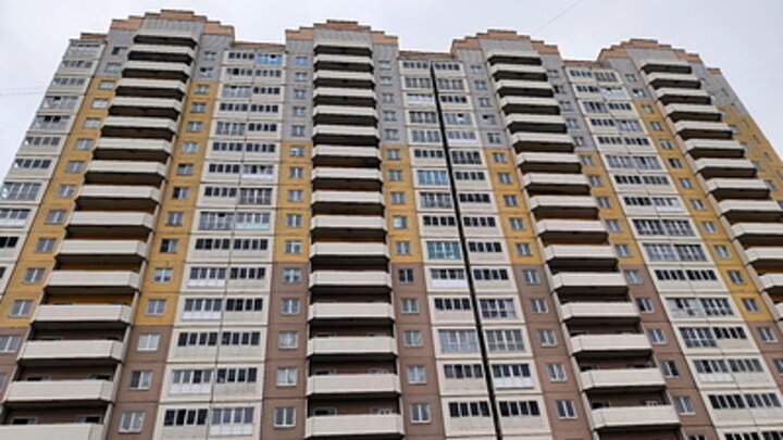 MAKSIM KONSTANTINOV/GLOBALLOOKPRESS