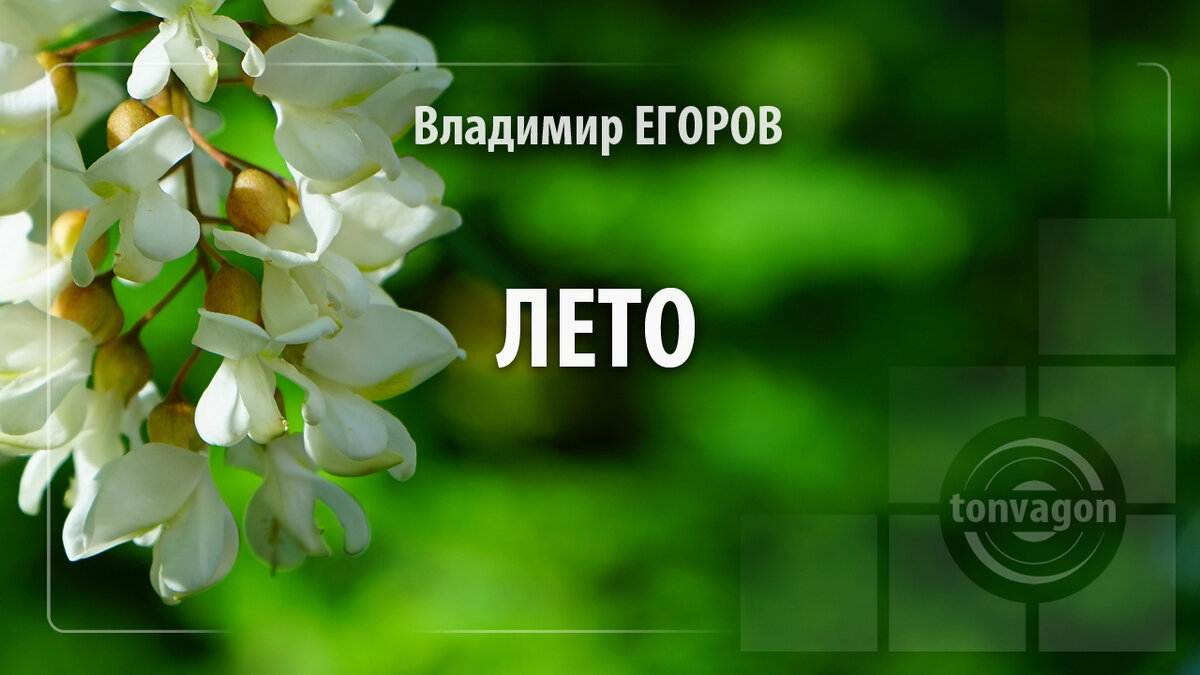 Стихотворение участвовало в конкурсе проекта ТОН-ВАГОН