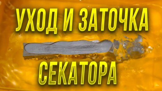 下载视频: Если неправильно заточить секатор то его придется просто выбросить, заточка и обслуживание на примере OCATSUNE и ARS