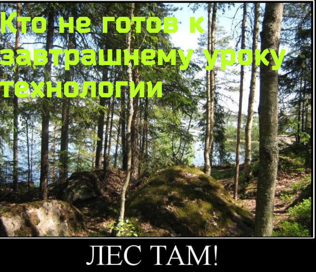 В нашем случае это была дача....