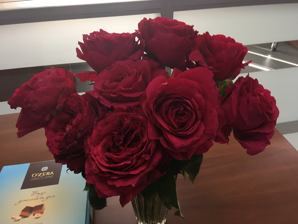 Идем на Бастилию! Людмила Гладких