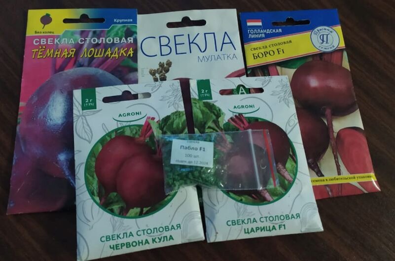 Семена свеклы.