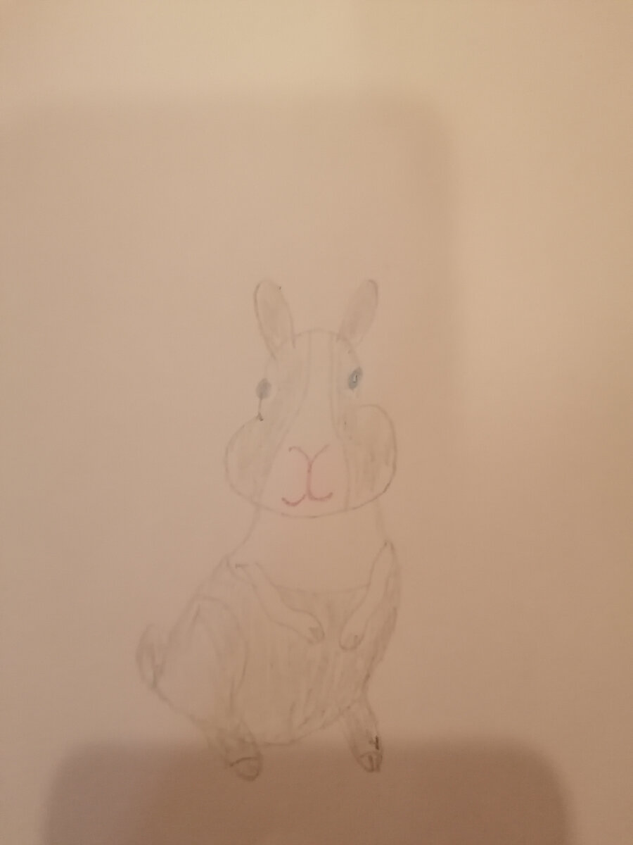 Так я изобразила кролика своей мечты. Правда, немного корявенько. 