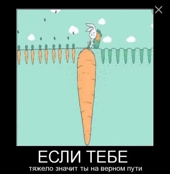 Это вам не со. Если тяжело то ты на верном пути. Шутки про морковку. Значит ты на правильном пути. Если тебе тяжело ты на правильном пути.