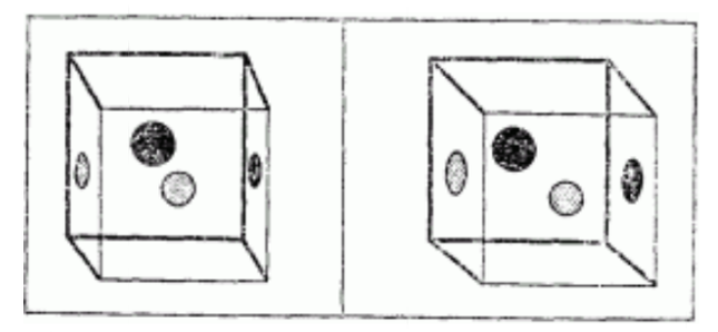 Рис. 1. Стеклянный куб с пятнами, рассматриваемый левым и правым глазом. 