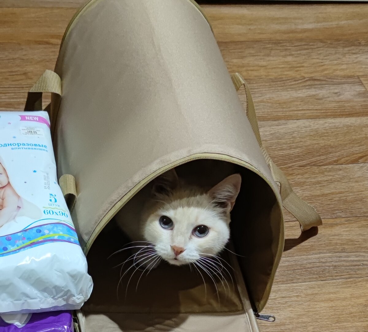 переноска должна соответствовать габаритам авиакомпании