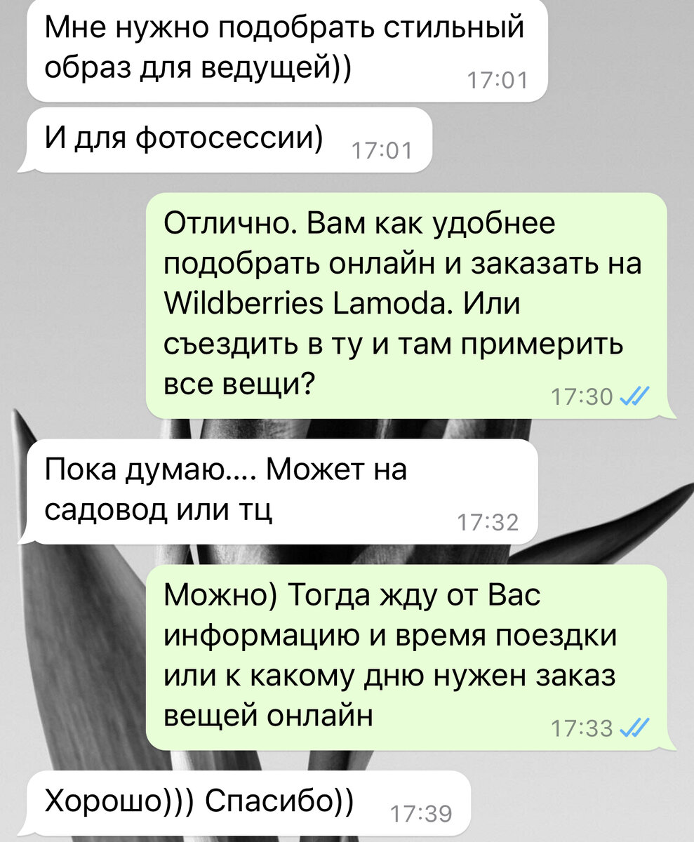 Скрин переписки с клиентом.