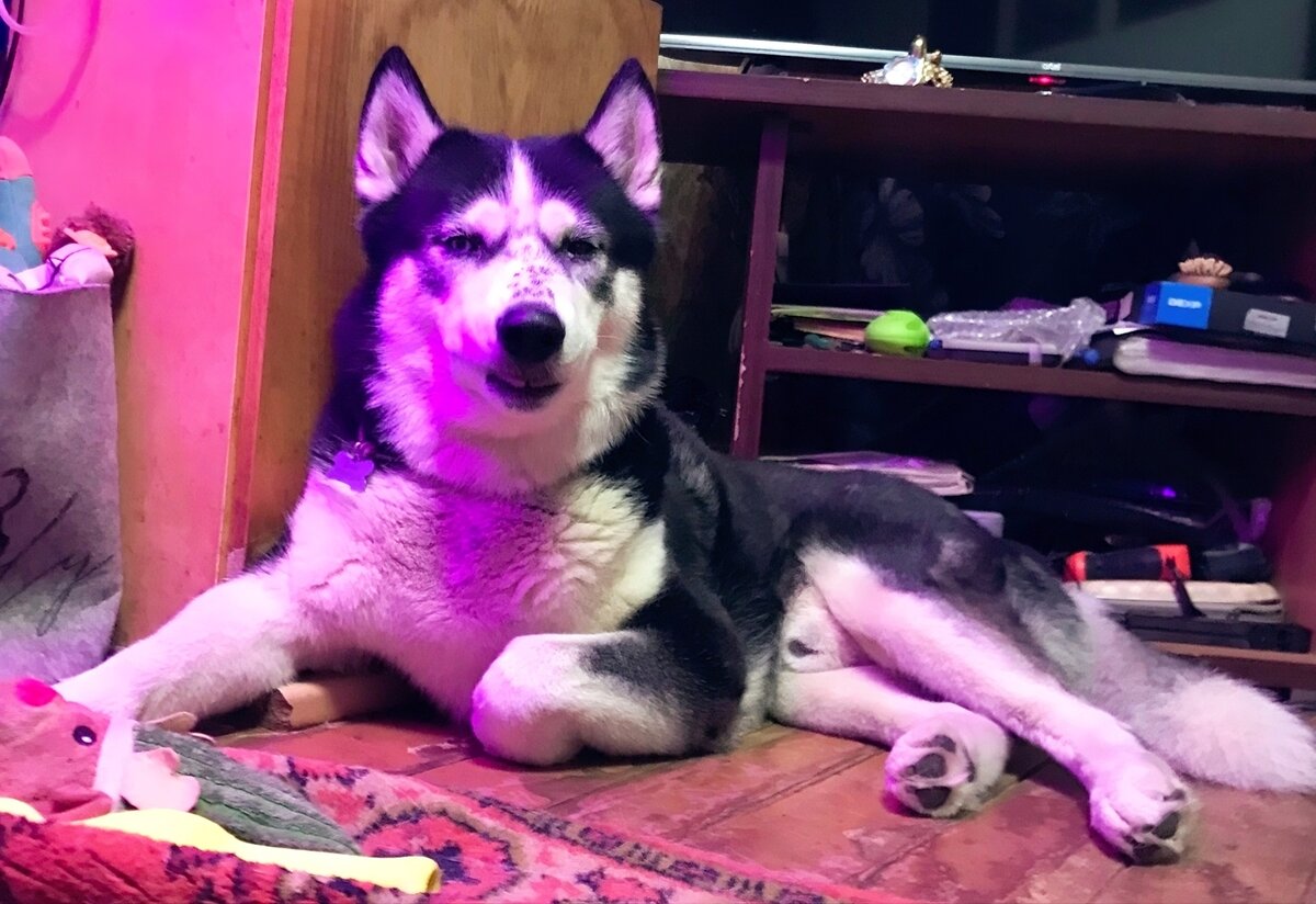 Фото из личного архива автора. 