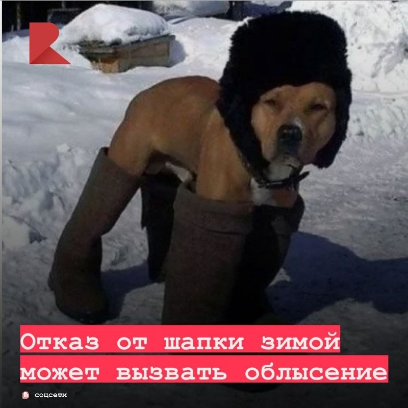 От холода и перепада температур волосяные фолликулы истончаются и выпадают, что приводит к потере волос, сообщают специалисты.

А лысина у мужчин — генетическая предрасположенность, но как рано она появится, зависит от заботы о волосах. Если не носить шапку в холодное время года, то фолликулы буду страдать, что и послужит призывом к выпадению волос.