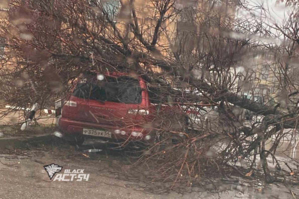    Новосибирск накрыло сильным ветром, метелью и снегом