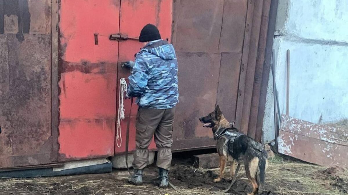    Фото: ДЧС Павлодарской области Август Макаров