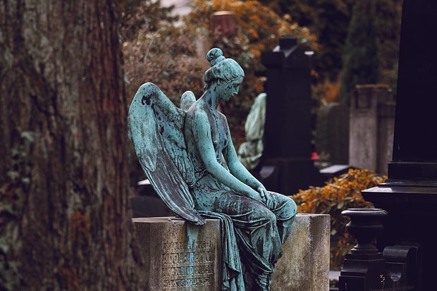    Фото: Veit Hammer / Unsplash