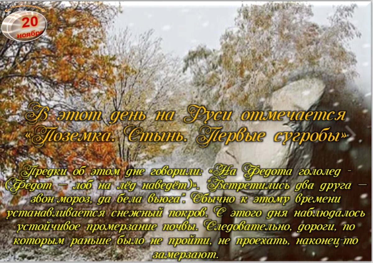 День лепестковой вьюги 28 мая. День лепестковой вьюги 28 мая картинки с надписями. День лепестковой вьюги 28 мая картинки.