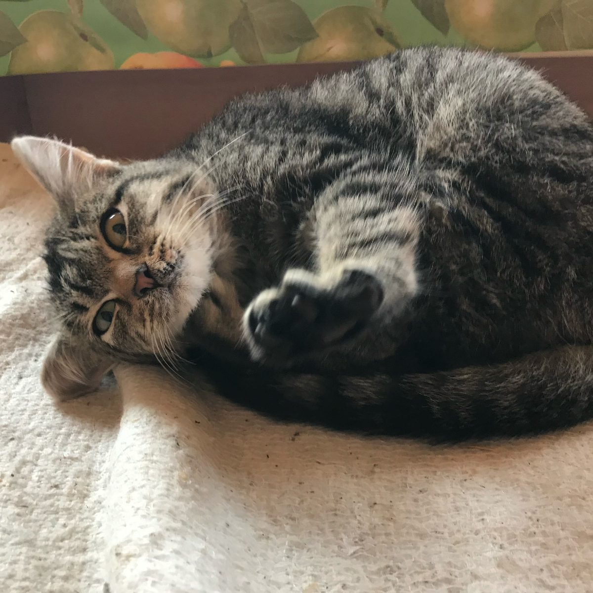 Первый кадр уже дома