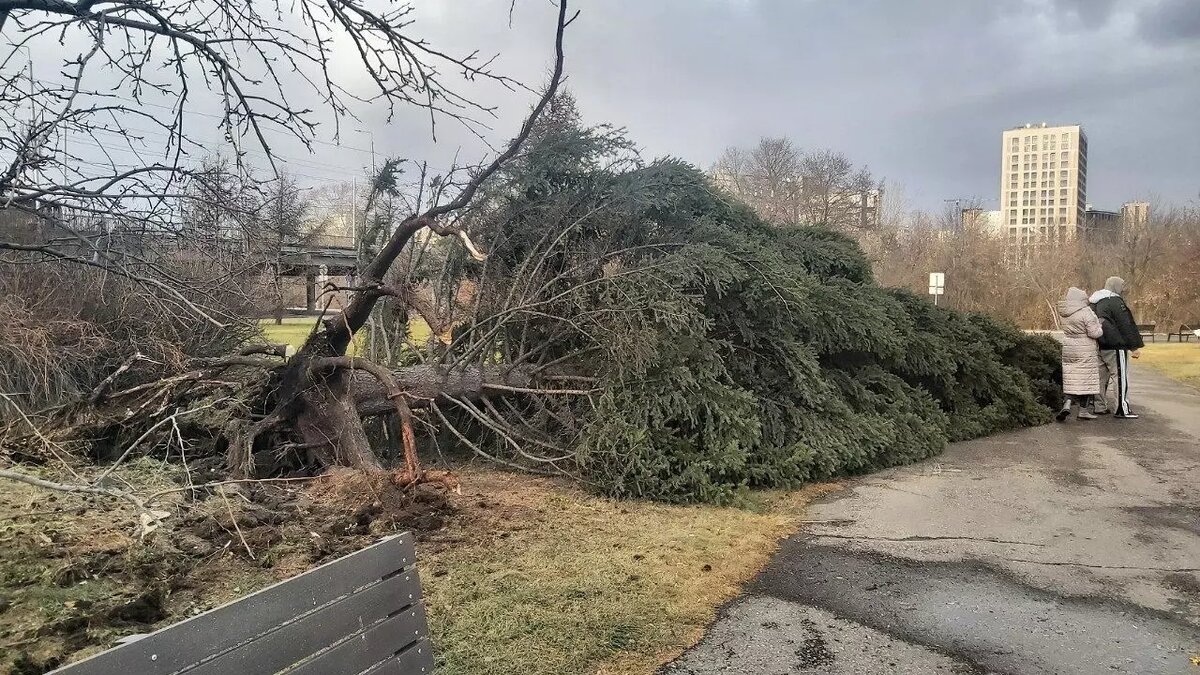     Красноярск 19 ноября накрыл ураган — повреждения есть как минимум на 50 объектах в городе.