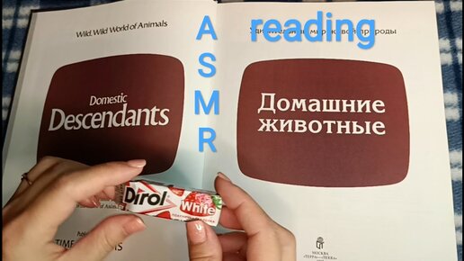 АСМР ЧТЕНИЕ / ASMR reading / жвачка / шёпот / chewingsounds/ chewingum / whisper