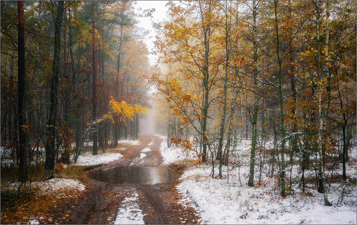 Какой снег осень. Снежная осень. Поздняя осень. Осенне зимний пейзаж. Осень снег.