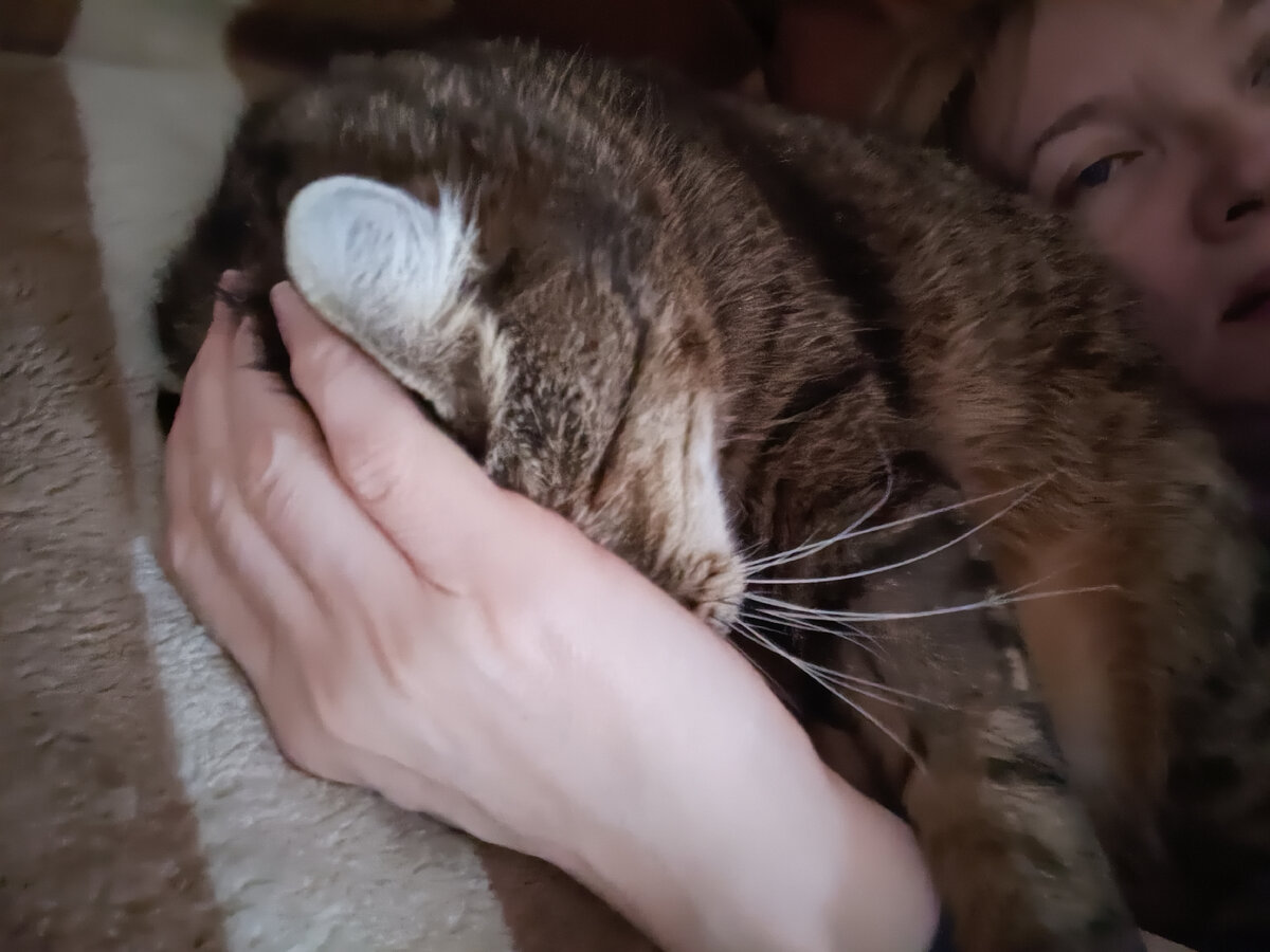 Доктор Маик во время лечебного сеанса