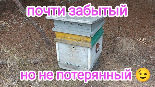 Пчёлы вентилируют улей. Трутень, давай, до свидания!