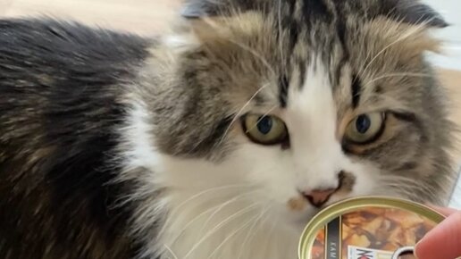 КУЗЯКА | Щас спою... | Дзен